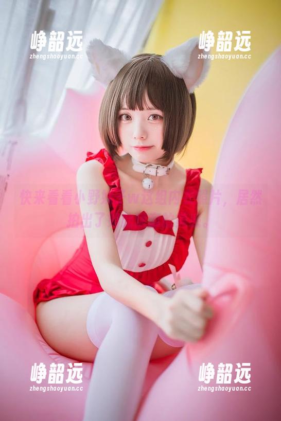 小野妹子w 快来看看小野妹子w这组内衣照片,居然拍出了如此随意的美感。